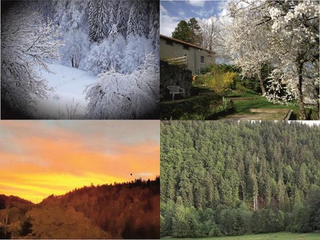 Gite Les Loges D'Arbez Septmoncel-Les-Molunes Екстер'єр фото